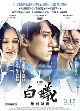 白蚁：欲望谜网}
