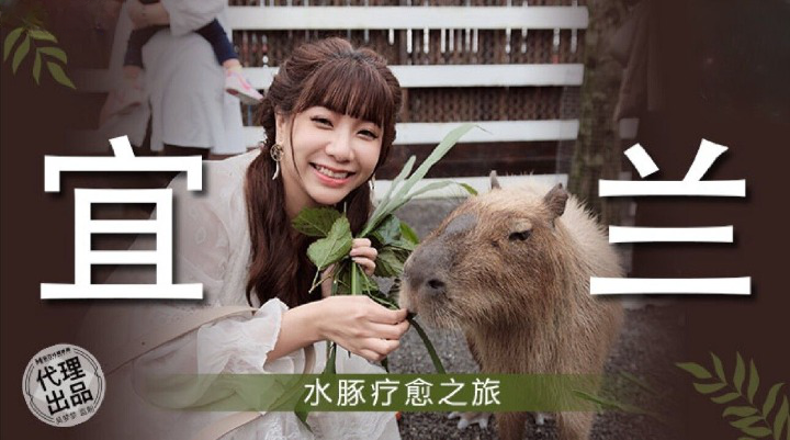 麻豆传媒 MM-078 宜兰水豚疗愈之旅-吴梦梦}