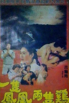 一只凤凰两只鸡