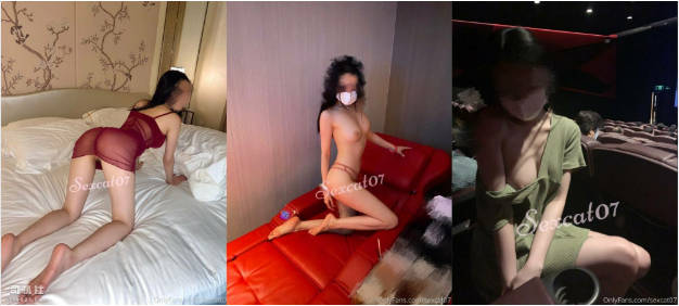 【11月订阅福利】OF究极绿帽骚妻【性感的猫】福利私拍③，两位淫娃飞行大战鬼佬2}